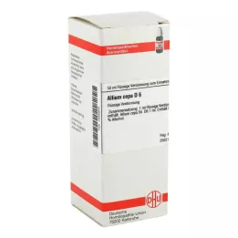ALLIUM CEPA D 6 skiedinys, 50 ml