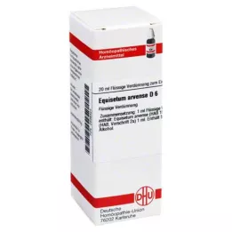 EQUISETUM ARVENSE D 6 skiedinys, 20 ml