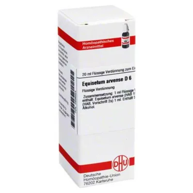 EQUISETUM ARVENSE D 6 skiedinys, 20 ml