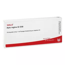 APIS REGINA GL D 30 ampulių, 10X1 ml