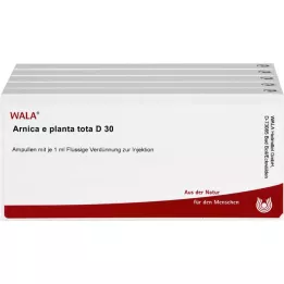 ARNICA E Planta tota D 30 ampulių, 50X1 ml