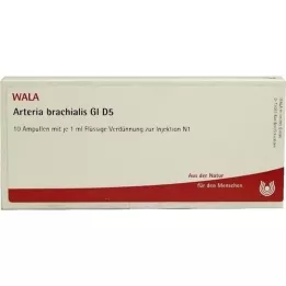 ARTERIA BRACHIALIS GL D 5 ampulės, 10X1 ml