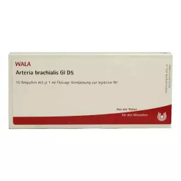 ARTERIA BRACHIALIS GL D 5 ampulės, 10X1 ml