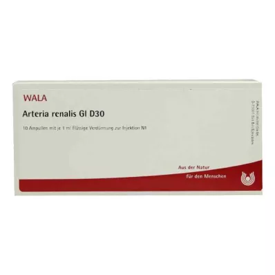 ARTERIA RENALIS GL D 30 ampulių, 10X1 ml ARTERIA RENALIS GL D 30 ampulių, 10X1 ml