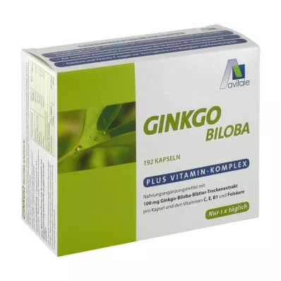 GINKGO 100 mg kapsulės+B1+C+E, 192 vnt