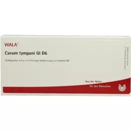 CAVUM tympani GL D 6 ampulės, 10X1 ml