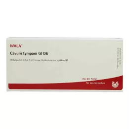 CAVUM tympani GL D 6 ampulės, 10X1 ml