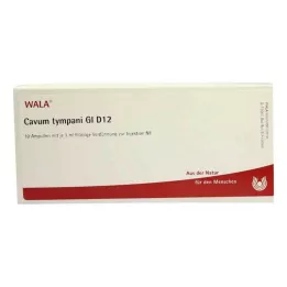 CAVUM tympani GL D 12 ampulių, 10X1 ml