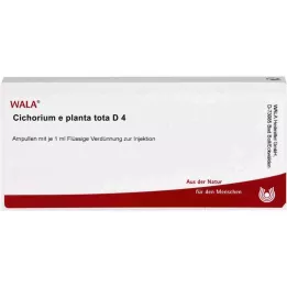 CICHORIUM E planta tota D 4 ampulės, 10X1 ml