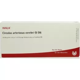 CIRCULUS arteriosus cerebri GL D 6 ampulės, 10X1 ml