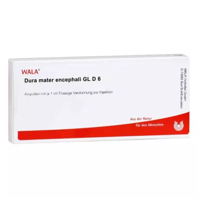 DURA MATER encephali GL D 6 ampulės, 10X1 ml DURA MATER encephali GL D 6 ampulės, 10X1 ml