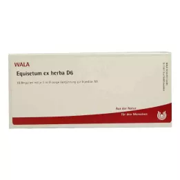 EQUISETUM EX Herba D 6 ampulės, 10X1 ml