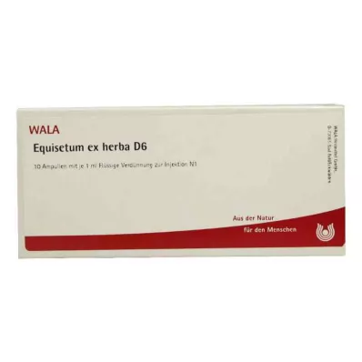 EQUISETUM EX Herba D 6 ampulės, 10X1 ml