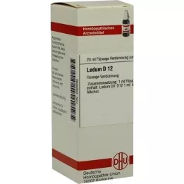 LEDUM D 12 skiedinys, 20 ml