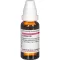 LEDUM D 12 skiedinys, 20 ml