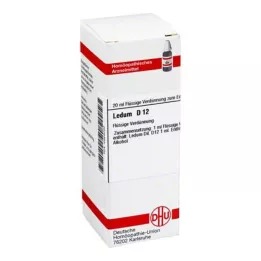 LEDUM D 12 skiedinys, 20 ml