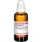 RHODODENDRON D 6 skiedinys, 50 ml