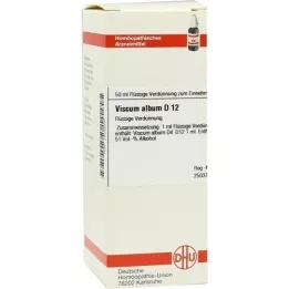 VISCUM ALBUM D 12 skiedinys, 50 ml