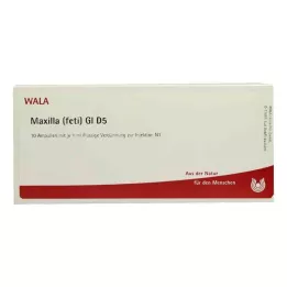 MAXILLA feti GL D 5 ampulės, 10X1 ml