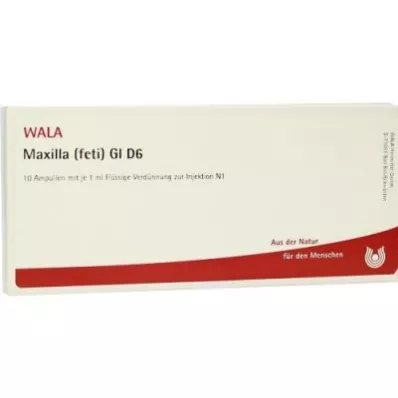 MAXILLA feti GL D 6 ampulės, 10X1 ml MAXILLA feti GL D 6 ampulės, 10X1 ml