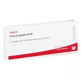 MUSCULI GLUTAEI GL D 5 ampulės, 10X1 ml