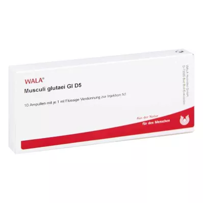 MUSCULI GLUTAEI GL D 5 ampulės, 10X1 ml