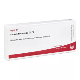 NERVUS FEMORALIS GL D 6 ampulės, 10X1 ml
