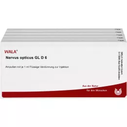 NERVUS OPTICUS GL D 6 ampulės, 50X1 ml