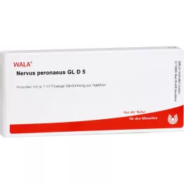 NERVUS PERONAEUS GL D 5 ampulės, 10X1 ml