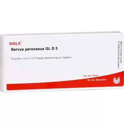 NERVUS PERONAEUS GL D 5 ampulės, 10X1 ml NERVUS PERONAEUS GL D 5 ampulės, 10X1 ml
