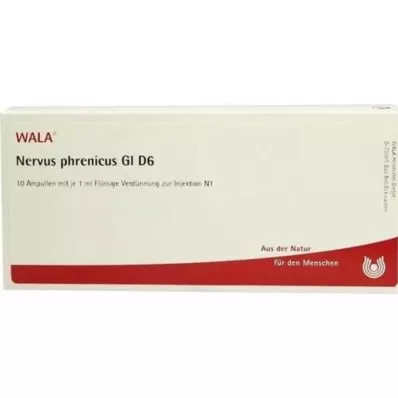 NERVUS PHRENICUS GL D 6 ampulės, 10X1 ml NERVUS PHRENICUS GL D 6 ampulės, 10X1 ml