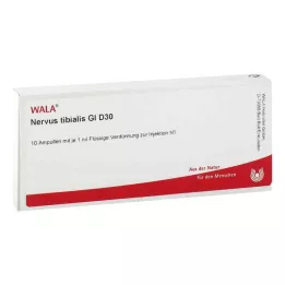 NERVUS TIBIALIS GL D 30 ampulių, 10X1 ml