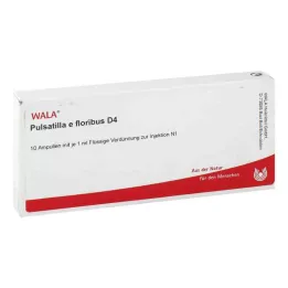 PULSATILLA E floribus D 4 ampulės, 10X1 ml