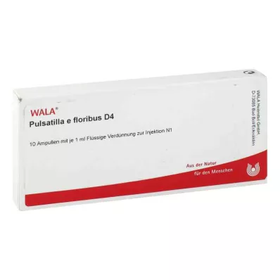 PULSATILLA E floribus D 4 ampulės, 10X1 ml PULSATILLA E floribus D 4 ampulės, 10X1 ml