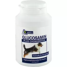 GLUCOSAMIN+CHONDROITIN Kapsulės šunims, 120 vnt