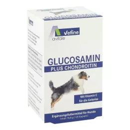 GLUCOSAMIN+CHONDROITIN Kapsulės šunims, 120 vnt