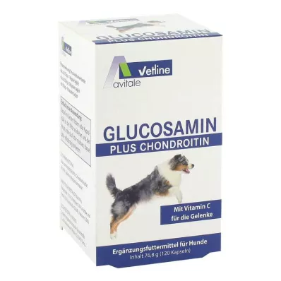 GLUCOSAMIN+CHONDROITIN Kapsulės šunims, 120 vnt