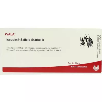 ISCUCIN salicis krakmolo B ampulės, 10X1 ml