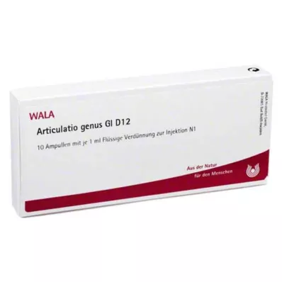 Articulatio Genus GL D 12 ampulės, 10X1 ml