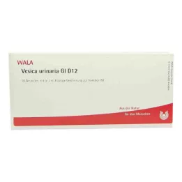 VESICA URINARIA GL D 12 ampulių, 10X1 ml