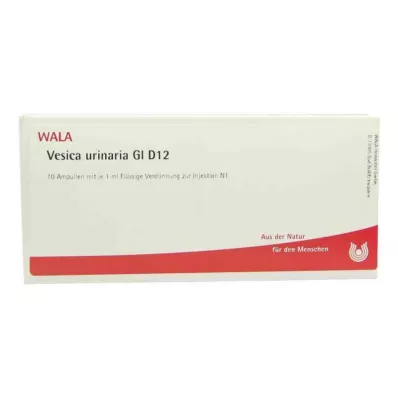 Vesica Urinaria Gl D12 ampulės (10x1 ml)