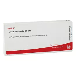 VESICA URINARIA GL D 15 ampulių, 10X1 ml