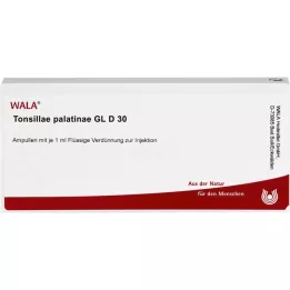 TONSILLAE palatinae GL D 30 ampulių, 10X1 ml