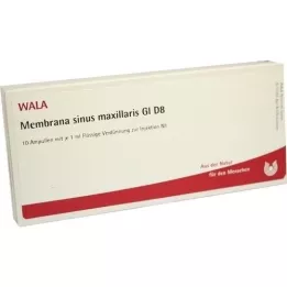 MEMBRANA sinus maxillaris GL D 8 ampulės, 10X1 ml