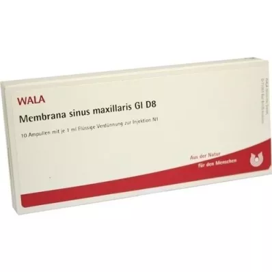 MEMBRANA sinus maxillaris GL D 8 ampulės, 10X1 ml