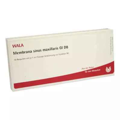 Membrana sinus maxillaris Gl D8 ampulės (10x1 ml) Membrana sinus maxillaris Gl D8 ampulės (10x1 ml)