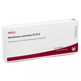MEMBRANA synovialis GL D 12 ampulių, 10X1 ml