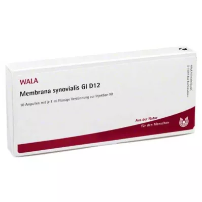 Membrana Synovialis GL D 12 ampulės, 10X1 ml