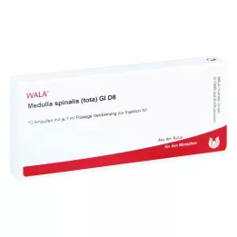 MEDULLA SPINALIS tota GL D 8 ampulės, 10X1 ml