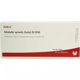 MEDULLA SPINALIS tota GL D 30 ampulių, 10X1 ml